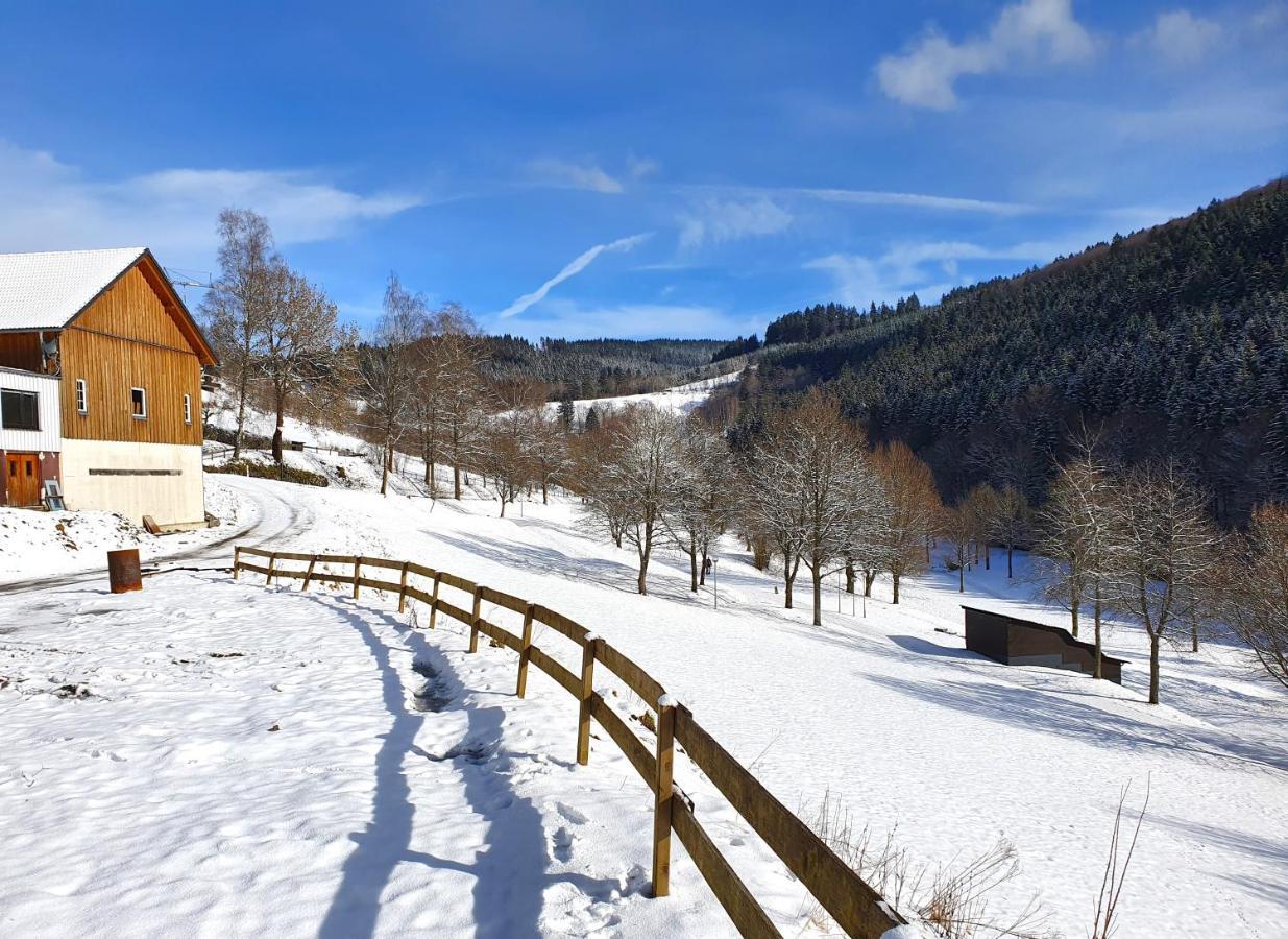 Ferienhaus Grimme - 350M2, 18 Betten - Mit Indoorspielplatz, Pool, Grosser Terrasse, Grill, Sauna, Kicker, Dart, Uvm - Ideal Fuer Familien Schmallenberg Εξωτερικό φωτογραφία
