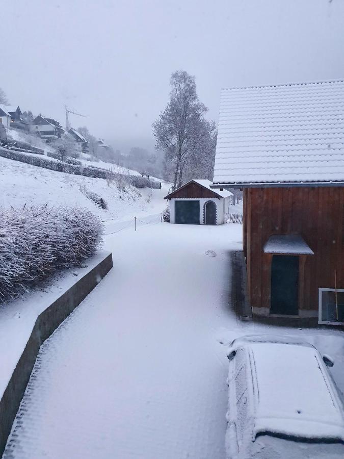Ferienhaus Grimme - 350M2, 18 Betten - Mit Indoorspielplatz, Pool, Grosser Terrasse, Grill, Sauna, Kicker, Dart, Uvm - Ideal Fuer Familien Schmallenberg Εξωτερικό φωτογραφία