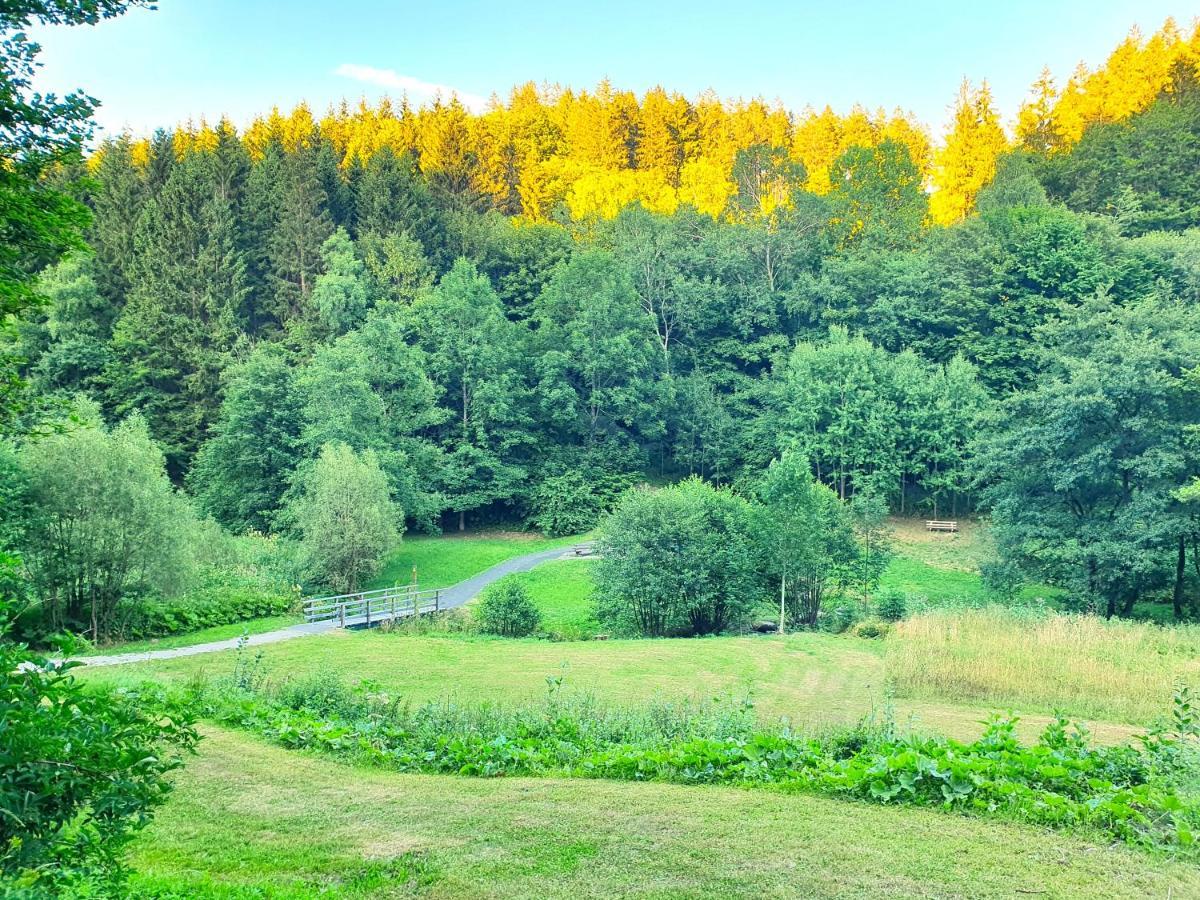 Ferienhaus Grimme - 350M2, 18 Betten - Mit Indoorspielplatz, Pool, Grosser Terrasse, Grill, Sauna, Kicker, Dart, Uvm - Ideal Fuer Familien Schmallenberg Εξωτερικό φωτογραφία