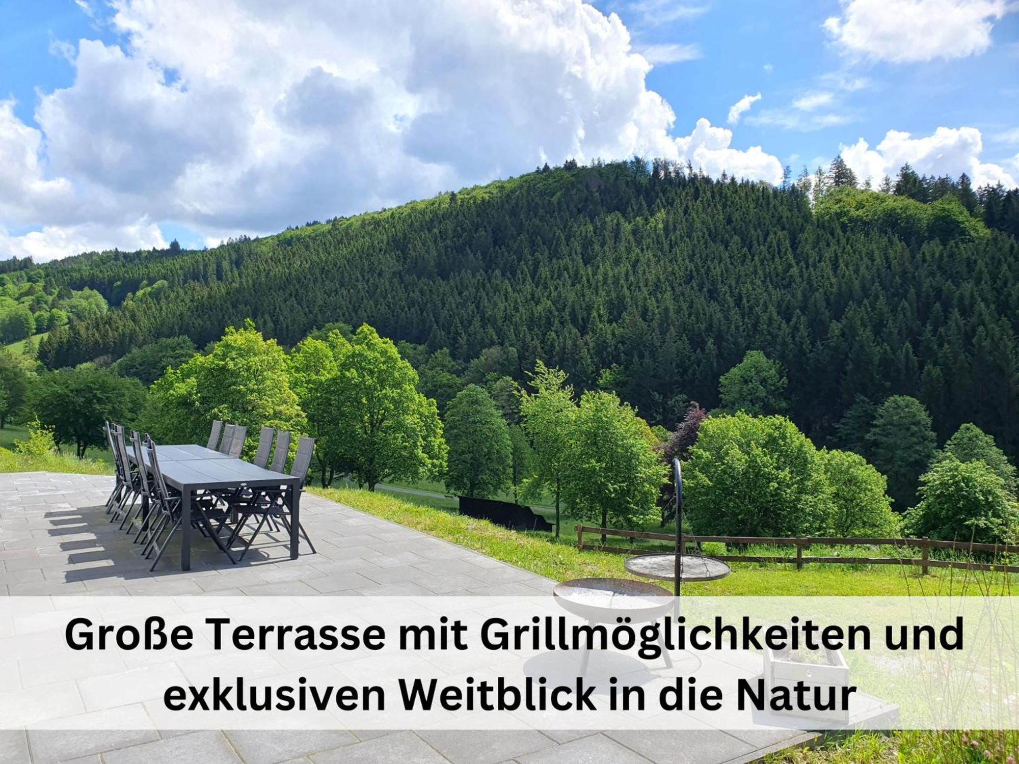 Ferienhaus Grimme - 350M2, 18 Betten - Mit Indoorspielplatz, Pool, Grosser Terrasse, Grill, Sauna, Kicker, Dart, Uvm - Ideal Fuer Familien Schmallenberg Εξωτερικό φωτογραφία